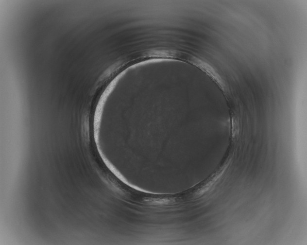 X0000111120349200908111023