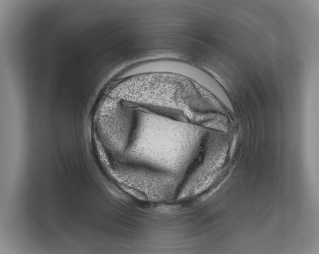 X0000111120350200908111023