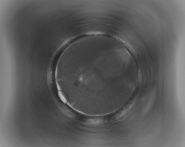 X0000111120351200908111023