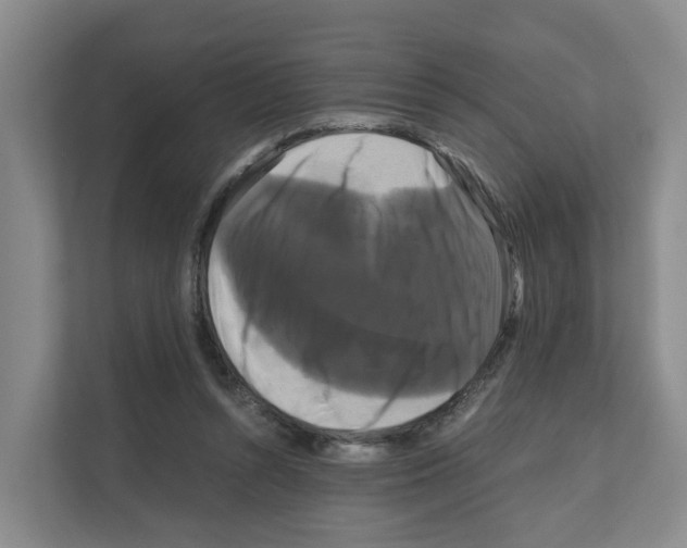 X0000111120352200908111023