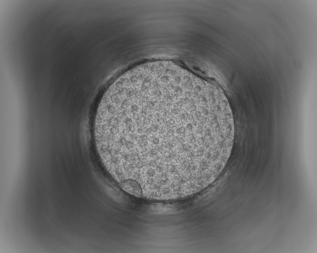 X0000111120354200908111023