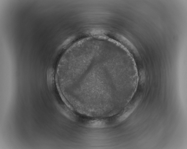 X0000111120356200908111023