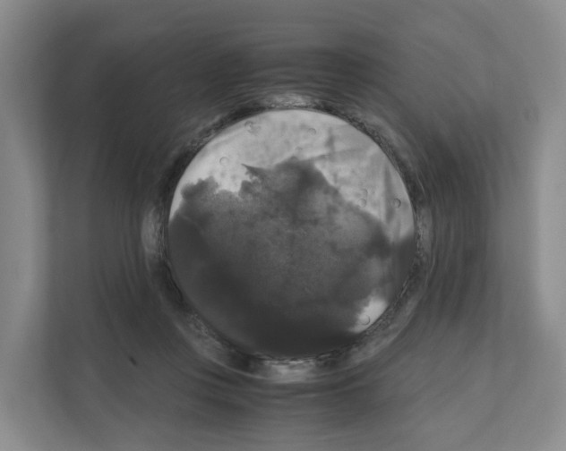 X0000111120359200908111023