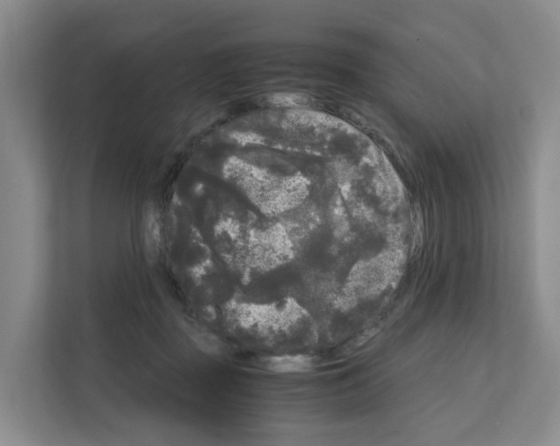 X0000111120363200908111023