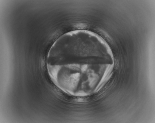 X0000111120365200908111023
