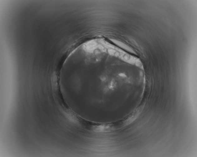 X0000111120366200908111024