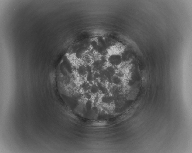 X0000111120369200908111024