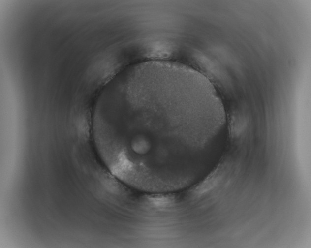 X0000111120370200908111024