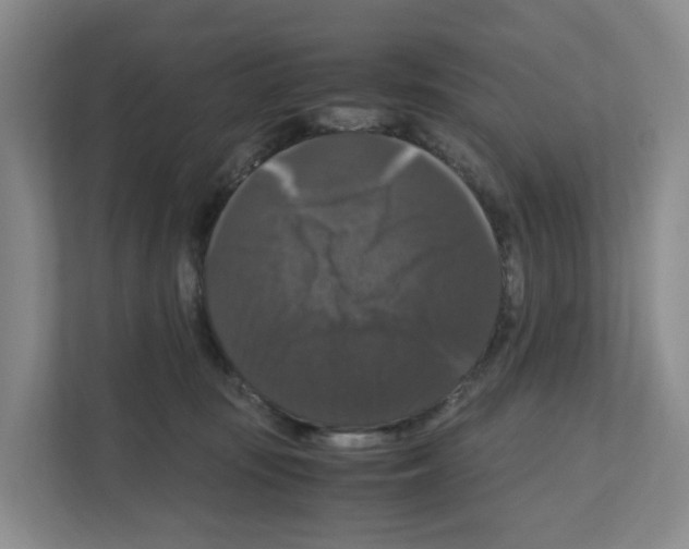 X0000111120371200908111024