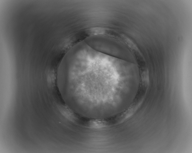 X0000111120372200908111024