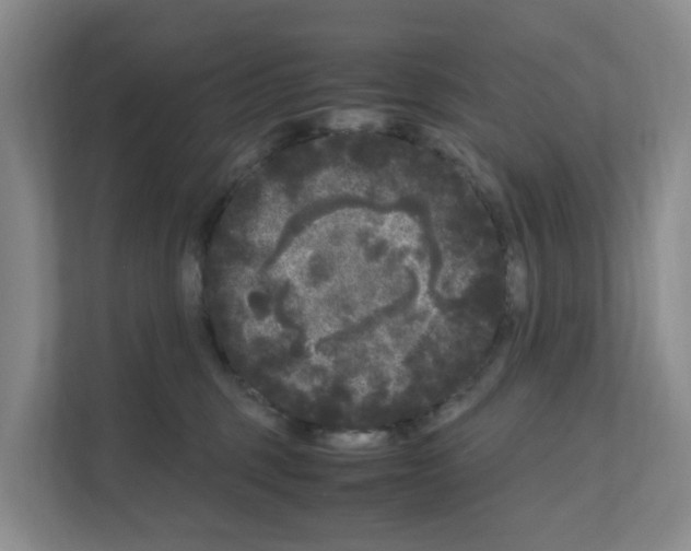 X0000111120375200908111024