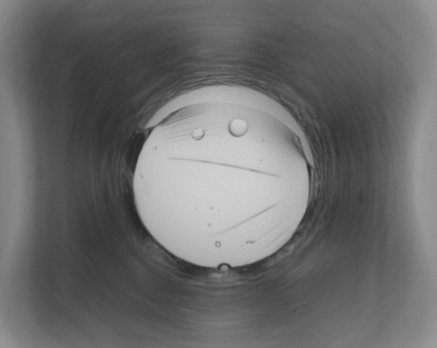 X0000111120376200908111024
