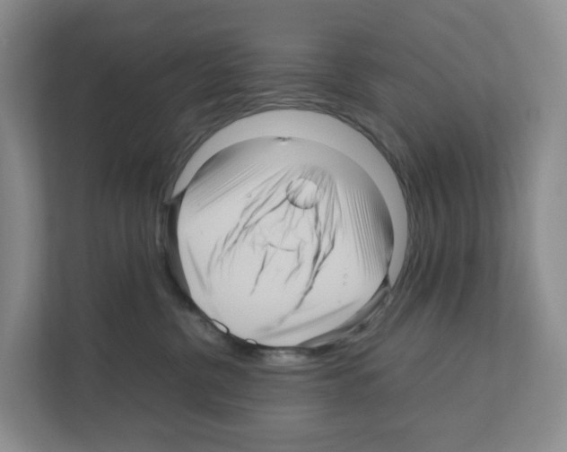 X0000111120380200908111024