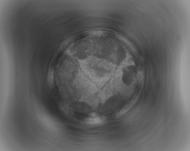 X0000111120381200908111024