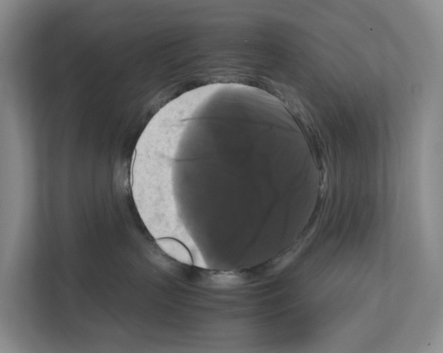 X0000111120383200908111024