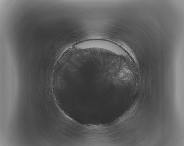 X0000111120385200908111023