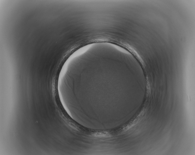 X0000111120386200908111023
