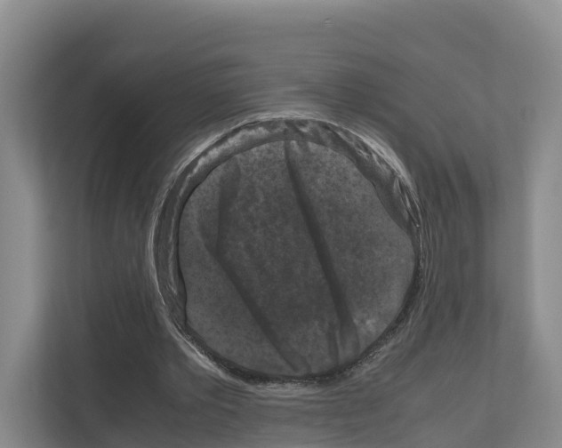 X0000111120389200908111023