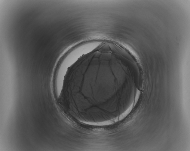 X0000111120391200908111023