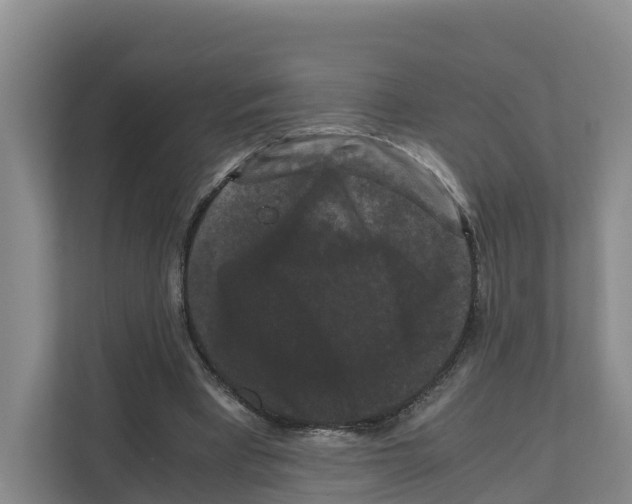 X0000111120393200908111023
