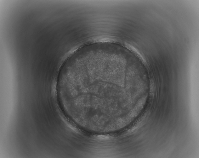 X0000111120394200908111023