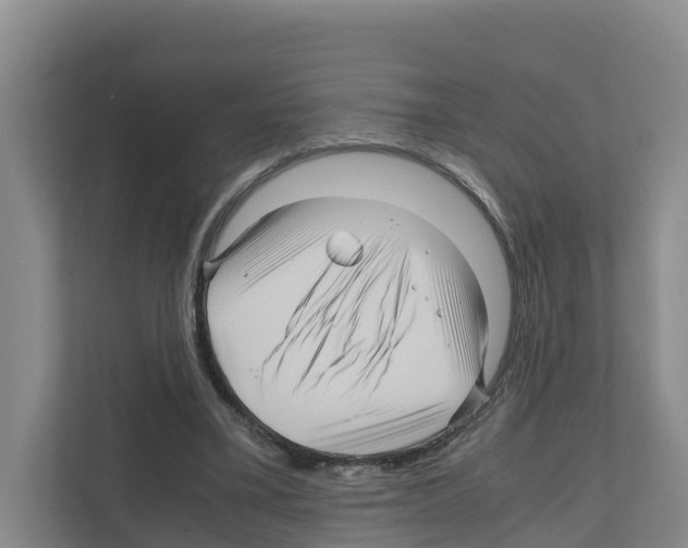 X0000111120395200908111023