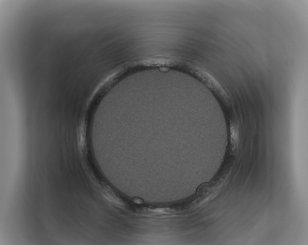 X0000111120396200908111023