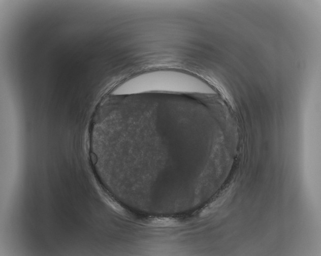 X0000111120397200908111023