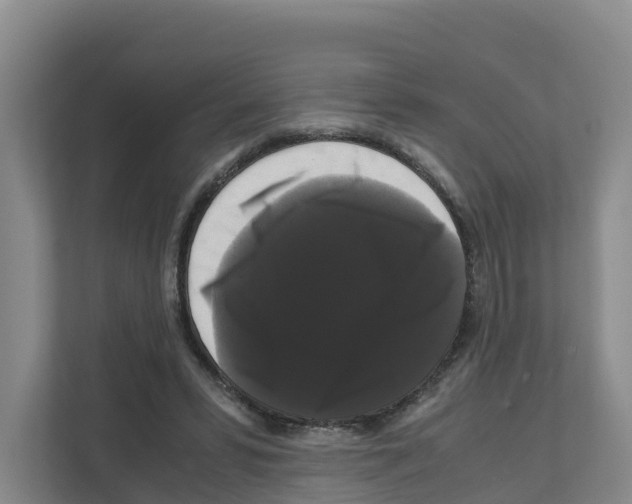 X0000111120399200908111023