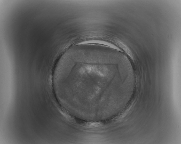 X0000111120401200908111023