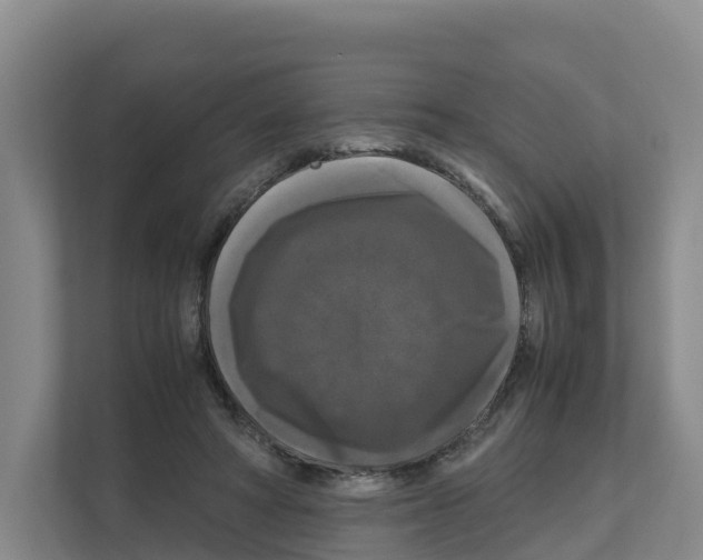 X0000111120402200908111023