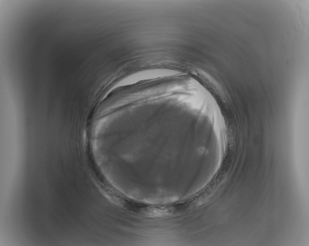 X0000111120405200908111023