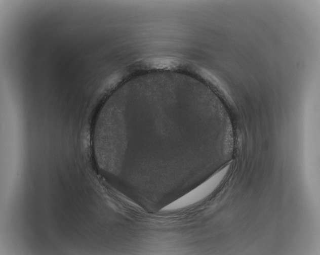 X0000111120407200908111023