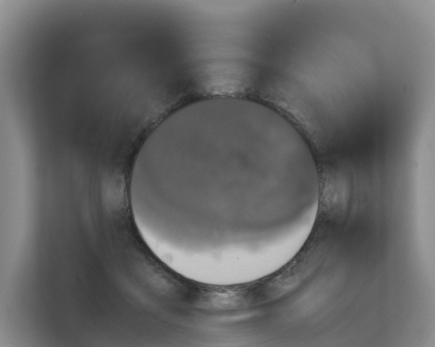 X0000111120411200908111023