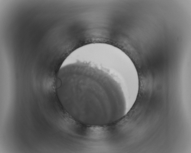 X0000111120419200908111023