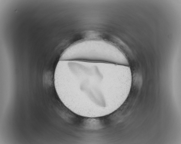 X0000111120421200908111023