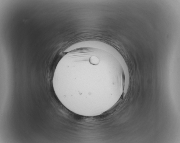 X0000111120423200908111023