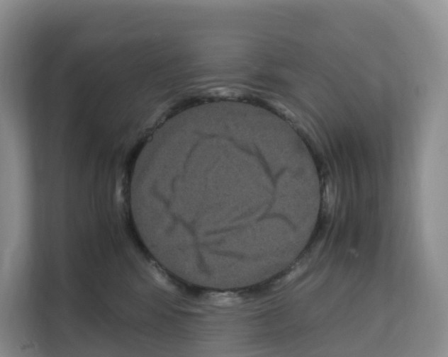 X0000111120424200908111023