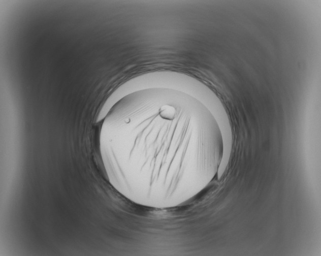 X0000111120425200908111023