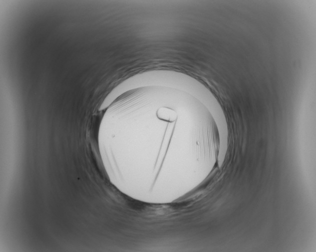 X0000111120427200908111023