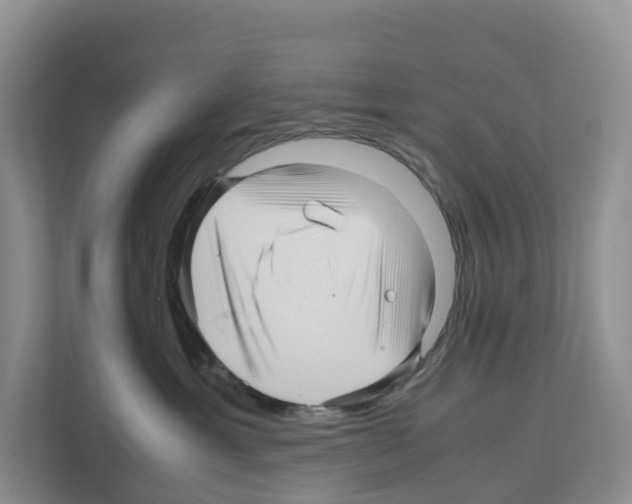 X0000111120429200908111023