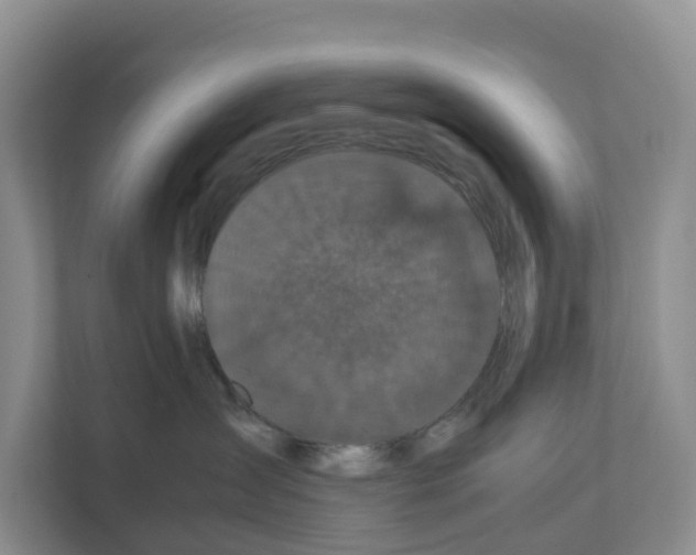 X0000111120431200908111023