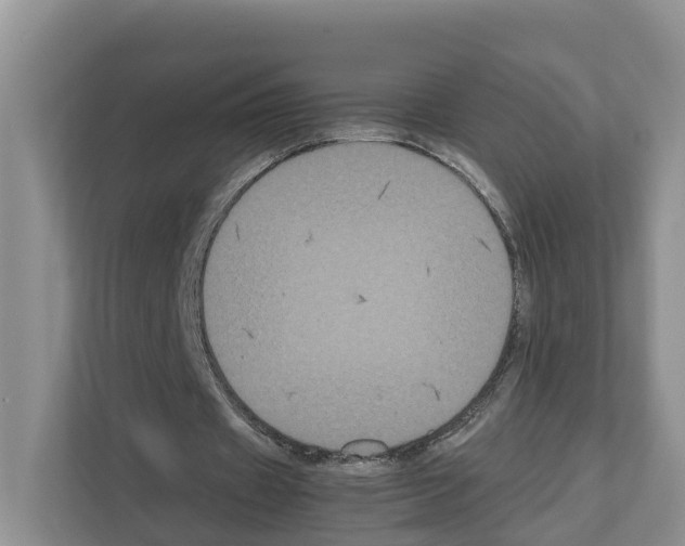 X0000111120433200908111022