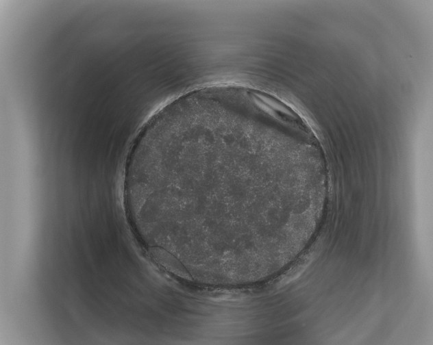 X0000111120434200908111022
