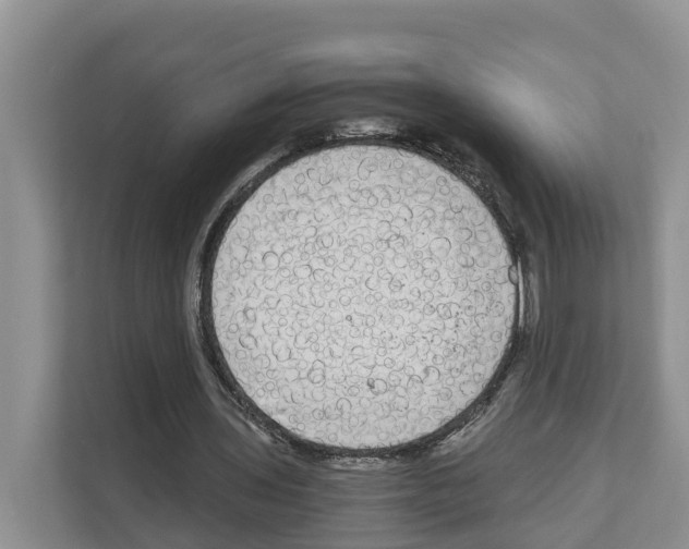X0000111120435200908111022