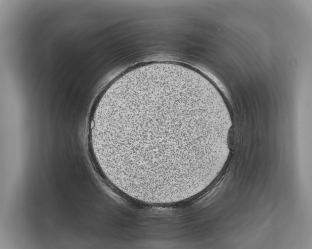 X0000111120437200908111022