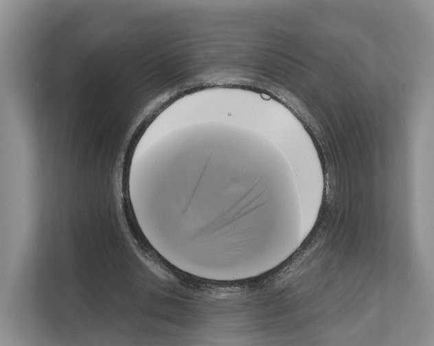 X0000111120438200908111022