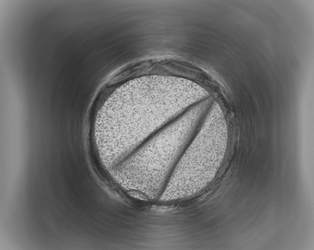 X0000111120440200908111022