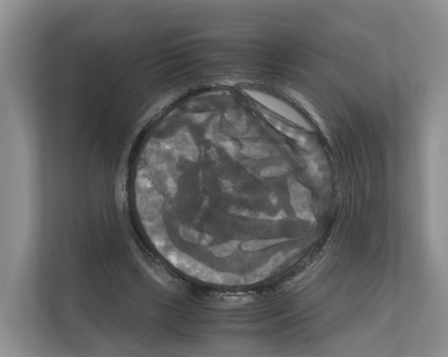 X0000111120443200908111022