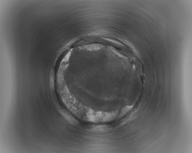 X0000111120446200908111022
